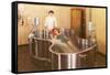 Hydrotherapy, Retro-null-Framed Stretched Canvas