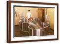 Brown Frame