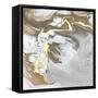 Hydrous-Jason Johnson-Framed Stretched Canvas