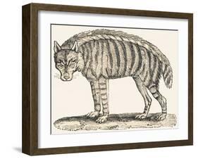 Hyena, 1850 (Engraving)-Louis Simon (1810-1870) Lassalle-Framed Giclee Print