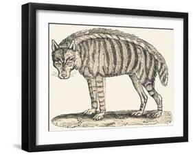 Hyena, 1850 (Engraving)-Louis Simon (1810-1870) Lassalle-Framed Giclee Print