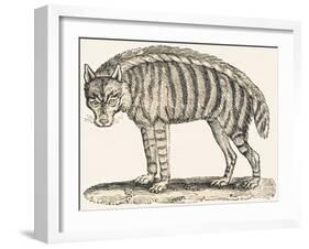 Hyena, 1850 (Engraving)-Louis Simon (1810-1870) Lassalle-Framed Giclee Print