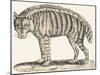 Hyena, 1850 (Engraving)-Louis Simon (1810-1870) Lassalle-Mounted Giclee Print