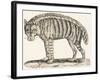 Hyena, 1850 (Engraving)-Louis Simon (1810-1870) Lassalle-Framed Giclee Print