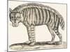 Hyena, 1850 (Engraving)-Louis Simon (1810-1870) Lassalle-Mounted Giclee Print