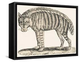 Hyena, 1850 (Engraving)-Louis Simon (1810-1870) Lassalle-Framed Stretched Canvas