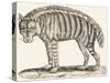Hyena, 1850 (Engraving)-Louis Simon (1810-1870) Lassalle-Stretched Canvas