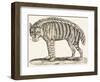 Hyena, 1850 (Engraving)-Louis Simon (1810-1870) Lassalle-Framed Premium Giclee Print