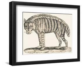 Hyena, 1850 (Engraving)-Louis Simon (1810-1870) Lassalle-Framed Premium Giclee Print