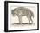 Hyena, 1850 (Engraving)-Louis Simon (1810-1870) Lassalle-Framed Premium Giclee Print