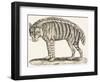 Hyena, 1850 (Engraving)-Louis Simon (1810-1870) Lassalle-Framed Premium Giclee Print