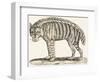 Hyena, 1850 (Engraving)-Louis Simon (1810-1870) Lassalle-Framed Premium Giclee Print