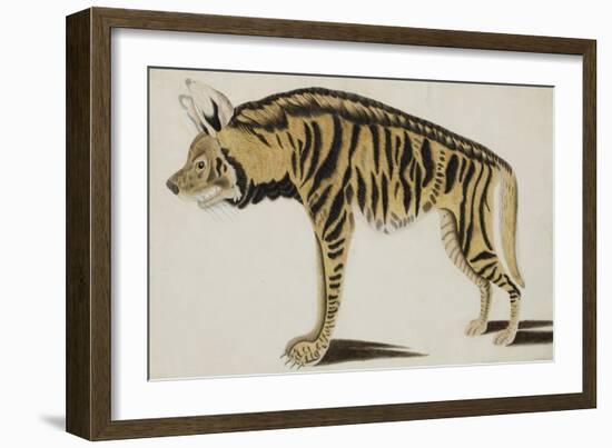 Hyena, after 1794-null-Framed Giclee Print