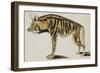 Hyena, after 1794-null-Framed Giclee Print