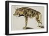 Hyena, after 1794-null-Framed Giclee Print