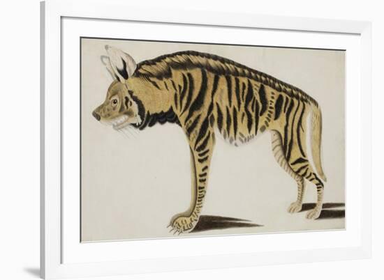 Hyena, after 1794-null-Framed Giclee Print