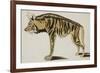 Hyena, after 1794-null-Framed Giclee Print