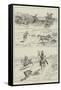 Hyena-Spearing in India-null-Framed Stretched Canvas