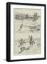 Hyena-Spearing in India-null-Framed Premium Giclee Print