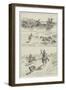 Hyena-Spearing in India-null-Framed Giclee Print