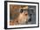 Hyena-Howard Ruby-Framed Premium Photographic Print