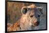 Hyena-Howard Ruby-Framed Photographic Print