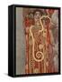 Hygieia (1907)-Gustav Klimt-Framed Stretched Canvas