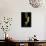 Hyla Cinerea Albino (American Green Tree Frog)-Paul Starosta-Photographic Print displayed on a wall