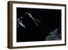 Hyla Meridionalis (Mediterranean Tree Frog) - Leaping-Paul Starosta-Framed Photographic Print