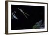 Hyla Meridionalis (Mediterranean Tree Frog) - Leaping-Paul Starosta-Framed Photographic Print