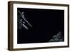 Hyla Meridionalis (Mediterranean Tree Frog) - Leaping-Paul Starosta-Framed Photographic Print