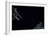 Hyla Meridionalis (Mediterranean Tree Frog) - Leaping-Paul Starosta-Framed Photographic Print