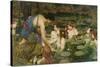 Hylas and the Nymphs, 1896-John William Waterhouse-Stretched Canvas