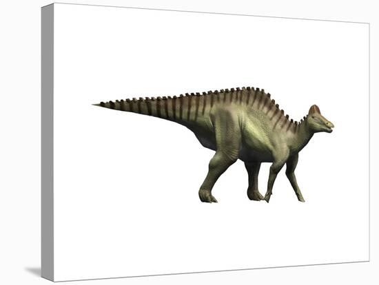 Hypacrosaurus Dinosaur-null-Stretched Canvas