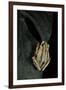 Hyperolius Marmoratus Taeniatus (Marbled Reed Frog, Painted Reed Frog)-Paul Starosta-Framed Premium Photographic Print