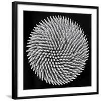 Hypnosis-Giorgio Toniolo-Framed Giclee Print