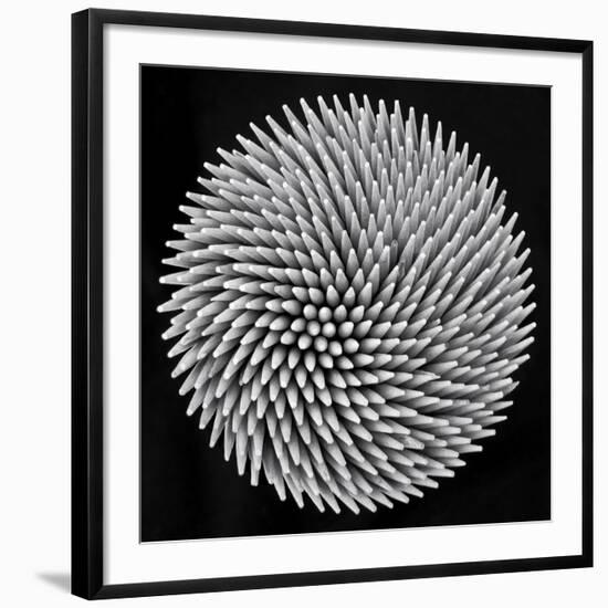 Hypnosis-Giorgio Toniolo-Framed Giclee Print