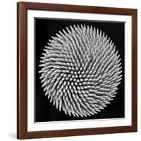 Hypnosis-Giorgio Toniolo-Framed Giclee Print