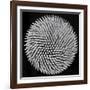 Hypnosis-Giorgio Toniolo-Framed Giclee Print