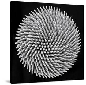 Hypnosis-Giorgio Toniolo-Stretched Canvas