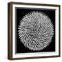 Hypnosis-Giorgio Toniolo-Framed Photographic Print