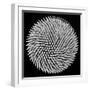 Hypnosis-Giorgio Toniolo-Framed Photographic Print