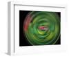 Hypnotic II-Heidi Westum-Framed Photographic Print