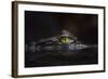 Hypnotic-Gaetano Cessati-Framed Photographic Print