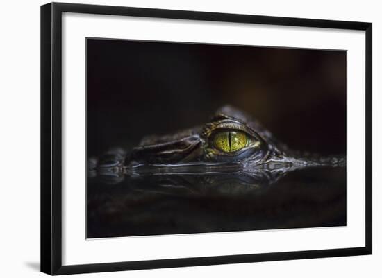 Hypnotic-Gaetano Cessati-Framed Photographic Print