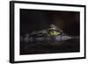 Hypnotic-Gaetano Cessati-Framed Photographic Print