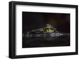 Hypnotic-Gaetano Cessati-Framed Photographic Print