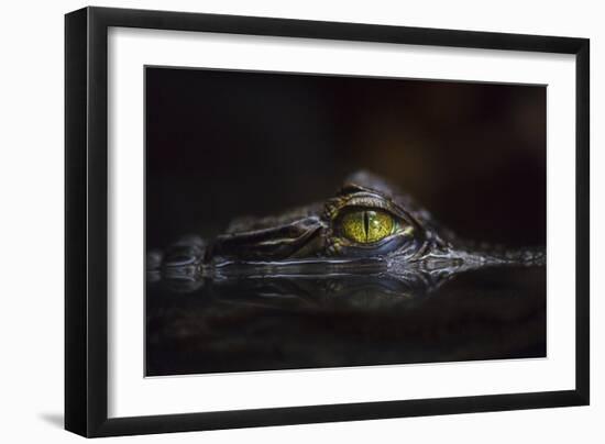 Hypnotic-Gaetano Cessati-Framed Photographic Print