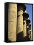 Hypostyle Hall, Great Temple of Amun, Karnak, Thebes, UNESCO World Heritage Site, Egypt-Simanor Eitan-Framed Stretched Canvas