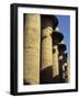 Hypostyle Hall, Great Temple of Amun, Karnak, Thebes, UNESCO World Heritage Site, Egypt-Simanor Eitan-Framed Photographic Print